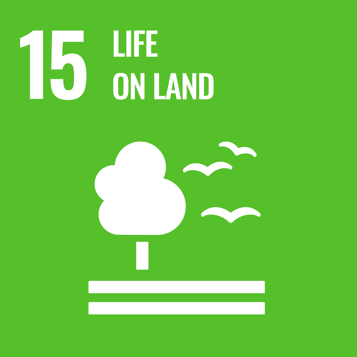 UN SDG 15 - Life on land